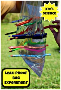 Leak-Proof-Bag-Experiment