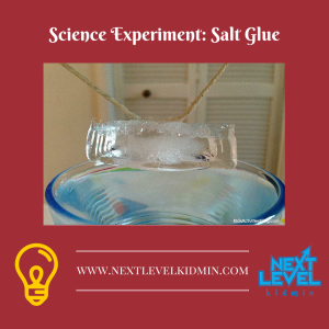 Science Experiment- Salt Glue